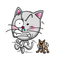 �_���L �t���[�f��