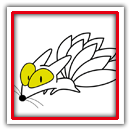 ����̂���